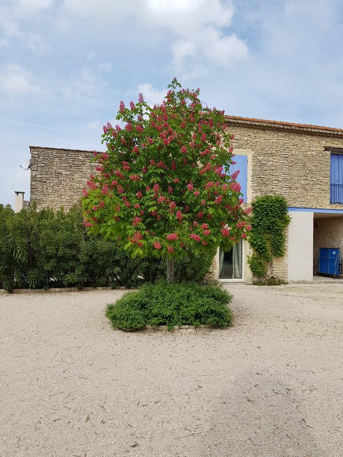 La Pastorale Bed and Breakfast Lagnes Exterior foto